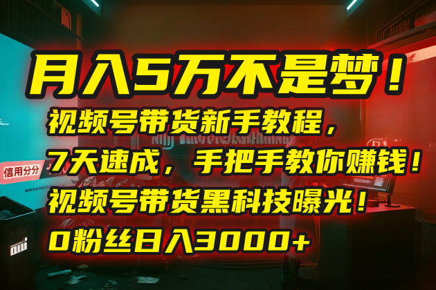 月入5万不是梦！视频号带货新手教程，7天速成，手把手教你赚钱！视频号…创客联盟总站-闲云创业网-老韩轻创网-中创网-福缘网-冒泡网-资源之家-魔方项目库创客联盟总站
